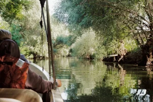 O barcă prin canalele din Delta Dunării, România